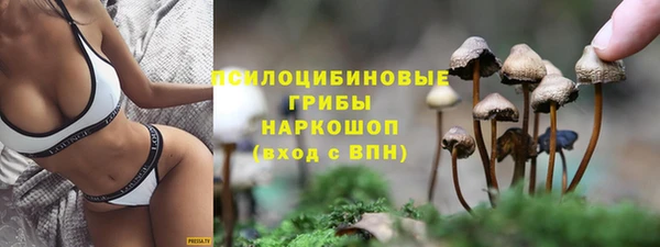прущие крисы Богородск