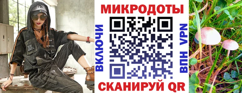 Галлюциногенные грибы MAGIC MUSHROOMS  Дмитриев 